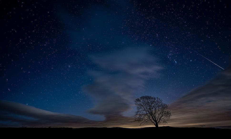 Free Image of Lone Tree Standing in Field Under Night Sky 