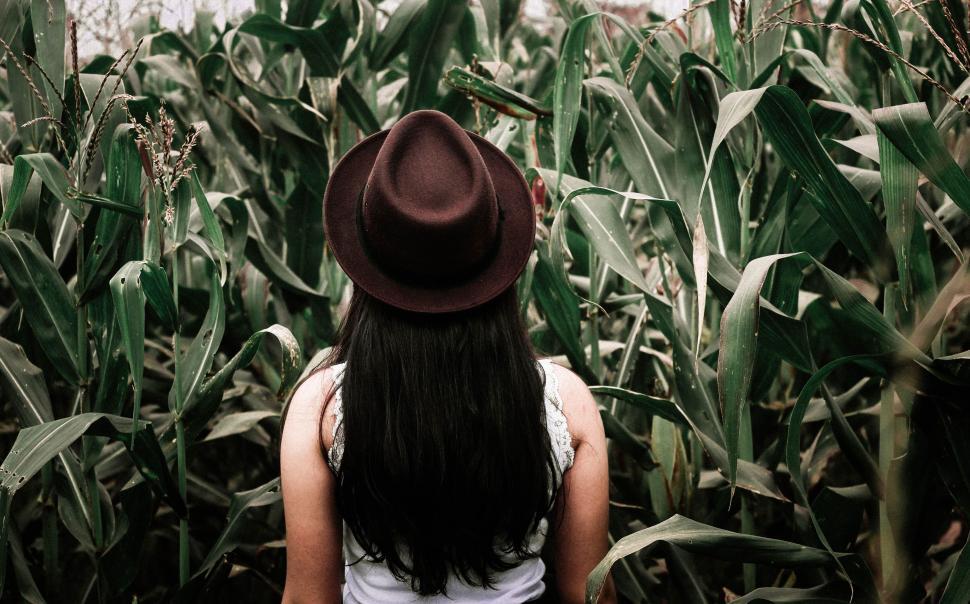 Free Image of Woman Standing in a Field of Corn 